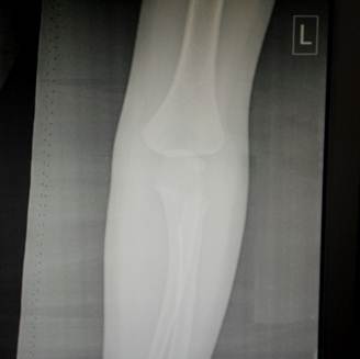 ��������: ��������: ��������: P00131-150259